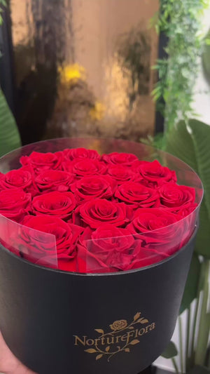 Luxury Preserved Roses- made to be treasured long after the occasion has passed| A Special Gift 🎁 🌹
